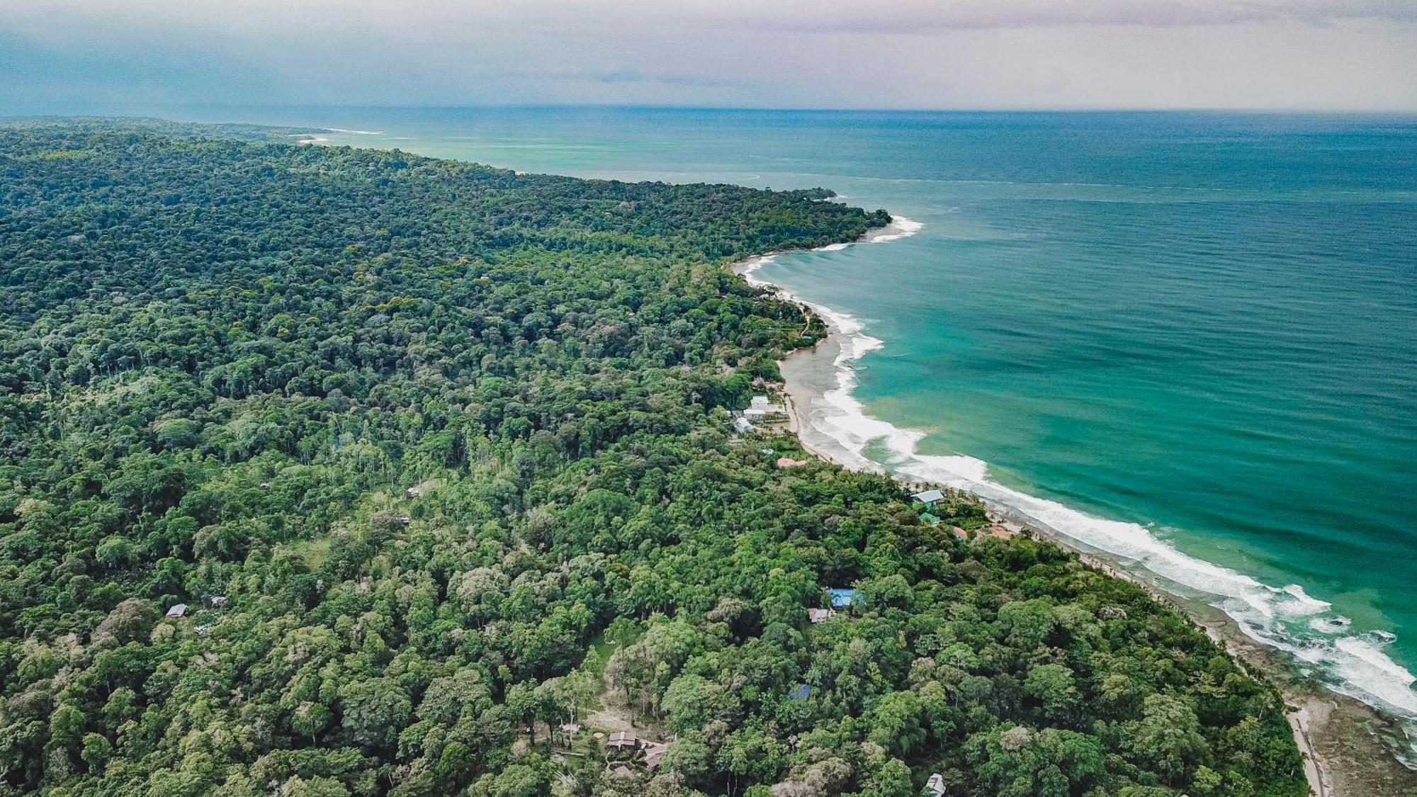 Bocas Garden Lodges Бокас дел Торо Екстериор снимка